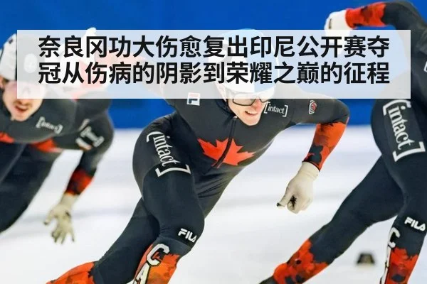奈良冈功大伤愈复出印尼公开赛夺冠从伤病的阴影到荣耀之巅的征程